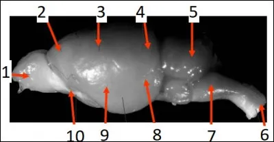 Le num&eacute;ro 3 est :