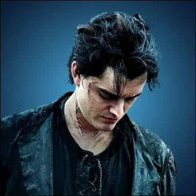 Comment s'appelle le corbeau de Maléfique ?