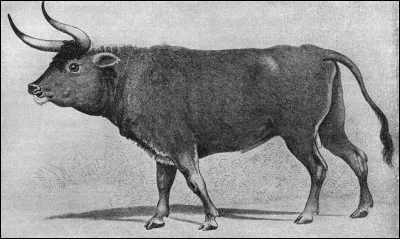 A été pris pour un nase, c'est le...