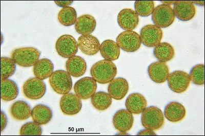 Fait transpirer ceux qu'il ne fait pas suer, c'est le...