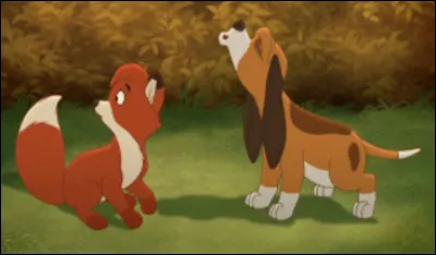 Qui est ce jeune chien de chasse qui se lie d'amitié avec le renardeau Rox ?