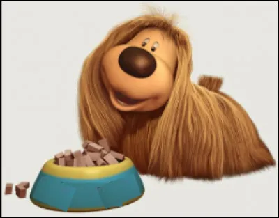 Qui est ce ShyeTerrier, sociable, câlin, affectueux, sage et gourmand, un des personnages de la série télévisée le "Manège enchanté" ?