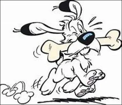 Qui ce chien blanc, animal de compagnie d'Obélix ?