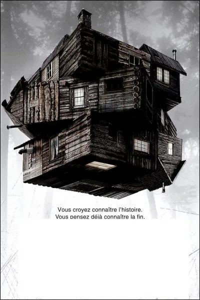 À quel film correspond cette affiche ?