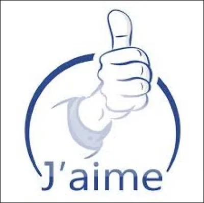 Qu'aime un hippophile ?