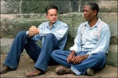 Quel est le titre de ce film culte ?