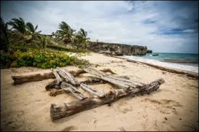 Qui a écrit "Vendredi ou la Vie sauvage" ?