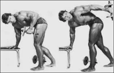 Quels muscles va-t-on travailler en faisant le kickback ?