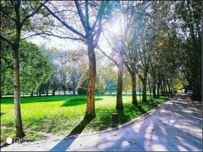 9e place > Ici, ce sont les animaux qui s'occupent de la tonte des pelouses...