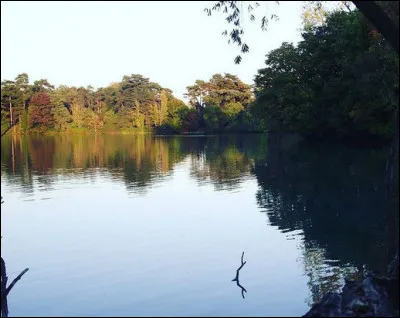 5e > Lyon est la seule grande ville classée "verte". Remettez-vous en tête le nom de ce fameux parc, c'est celui ...