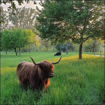 3e > Contrairement aux mots rapportés du Vert-Galant, question verdure, c'est plusieurs Paris qui vaudraient une ...