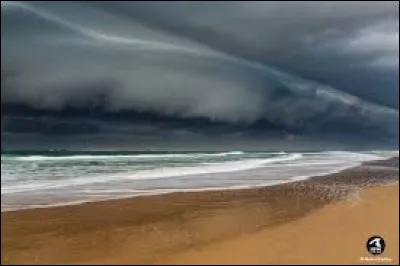 Retrouvez le nom de ce type de nuage bas ayant la forme d'un rouleau.