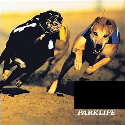 Qui est l'interpr&egrave;te de cet album ?