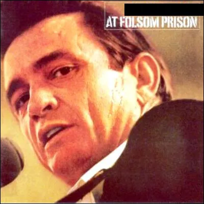 Qui est l'interpr&egrave;te de cet album ?