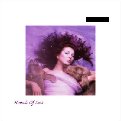 Qui est l'interpr&egrave;te de cet album ?