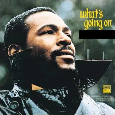 Qui est l'interpr&egrave;te de cet album ?