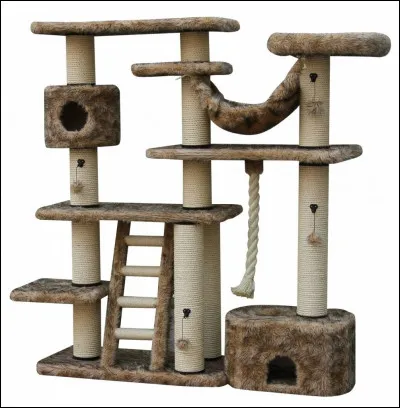 Quel est cet arbre ?