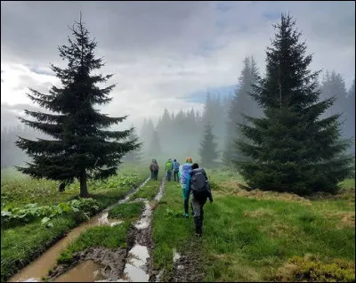 Les Alpes transylvaines (Roumanie) portent aussi le nom de Carpates m&eacute;ridionales. Mais d'o&ugrave; leur vient ce nom de "Carpates" ?