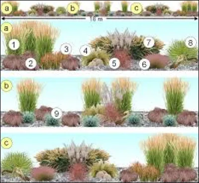 Au jardin, les graminées évoquent :