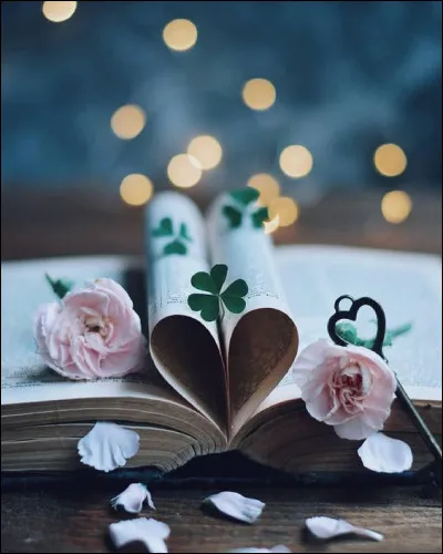 Am comme amitiés : à qui doit-on le roman "Les Amitiés particulières" ?