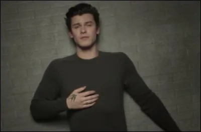 Quel trouble a-t-il ?