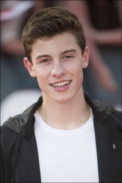 En quelle année devient-il populaire ?