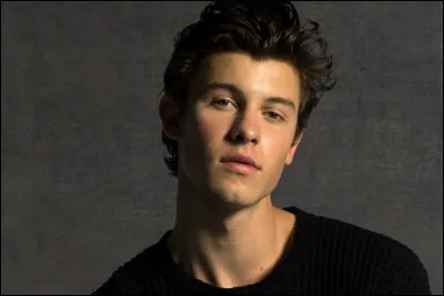 Sur quelle plateforme a-t-il publié son cover "Say Someting" ?