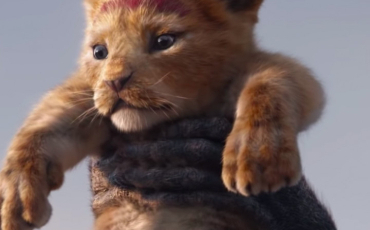 Quiz Le roi lion