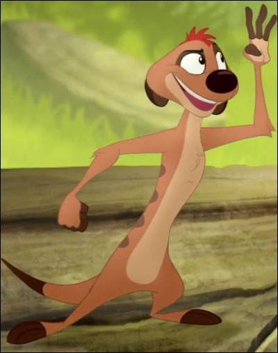 Qui donc est ce petit animal, cette petite boule de poils ?
Quoi ? 
J'ai bien entendu petit et boule de poils ? 
Vous allez avoir affaire à moi les petits gars !