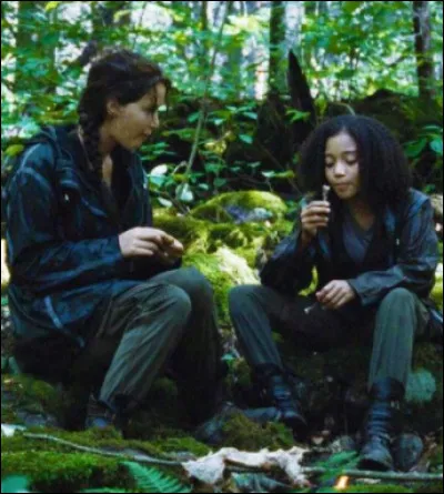 Voudrais-tu des alli&eacute;s ?