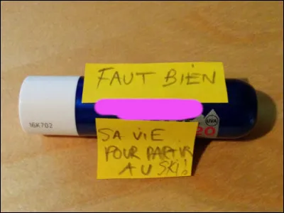 Ben oui, faut ski faut...