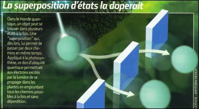 Les systèmes quantiques ont donc un comportement différent des systèmes classiques : d'un côté, on a l'équation ci-dessus, de l'autre le principe fondamental de la dynamique (entre autres, bien sûr). Comment appelle-t-on l'aspect fondamental de la quantique indiquant qu'une particule quantique joue à la fois le rôle d'un corps classique et aussi celui d'onde ?