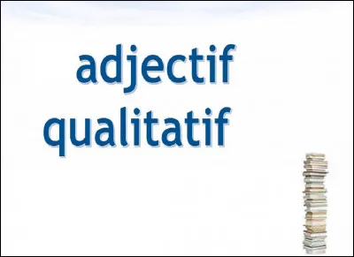 Quel adjectif qualifie la voie pour exprimer le meilleur moyen d'atteindre un but ?