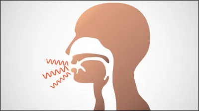 Quel est le nom d'une voix rauque, éraillée due à l'alcool ?