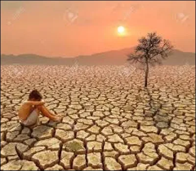 Quel mot n'est pas synonyme du mot "aride" ?