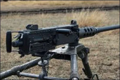 Quel est le nom de cette arme ?