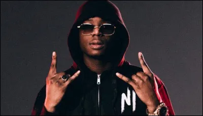 Qui est ce chanteur ?