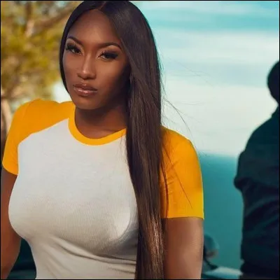 Qui est cette chanteuse ?