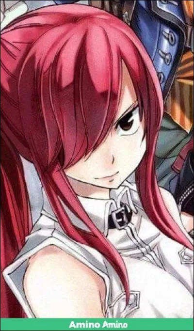 Quelle magie pratique Erza ?