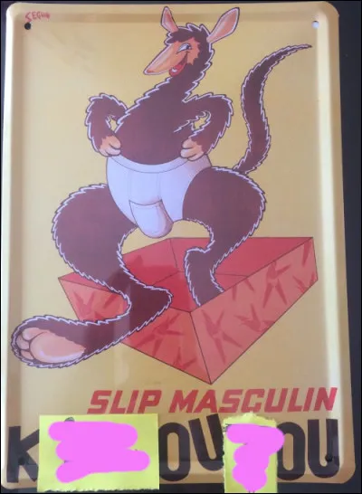 La vraie marque, c'est "Kangourou" : comment a-t-elle été détournée ?