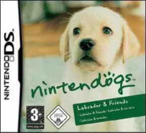 Combien de concours peut-on faire en une journe avec un chien ? lesquels ?