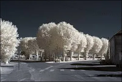 Nous sommes en Bourgogne-Franche-Comt&eacute; sur la Place des Platanes de Pagny-le-Ch&acirc;teau. Nous nous trouvons dans le d&eacute;partement ...