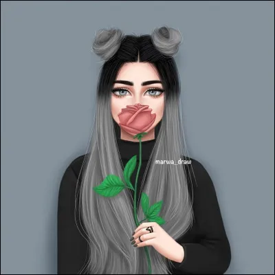 Quelle est ta couleur de cheveux ?