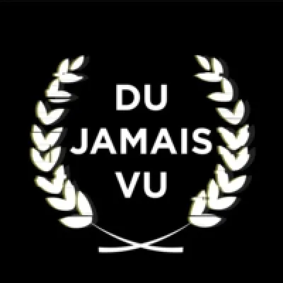 Vu comme vuvuzela : qu'est-ce que c'est ?