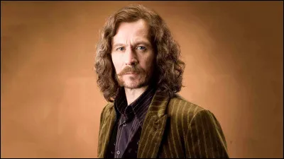 A quel poste jouait Sirius Black quand il était à Poudlard ?