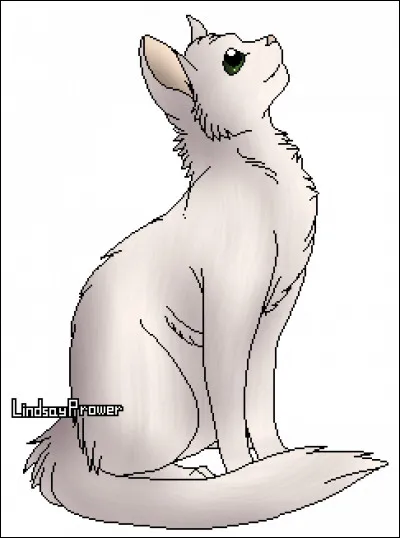 Comment Aile de Mite voulait-elle s'appeler ?