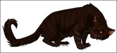 Quel était le nom du père d'Étoile Brisée ?