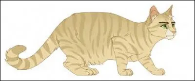 Qui deviendra Nuage de Tempête ?