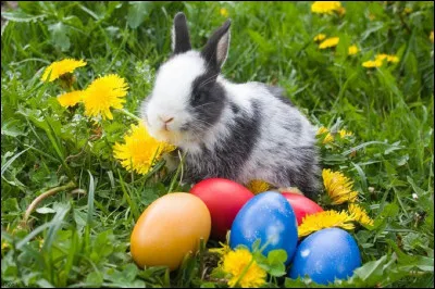 Quel est le pays d'origine de la tradition du ''lapin de Pâques'' ?