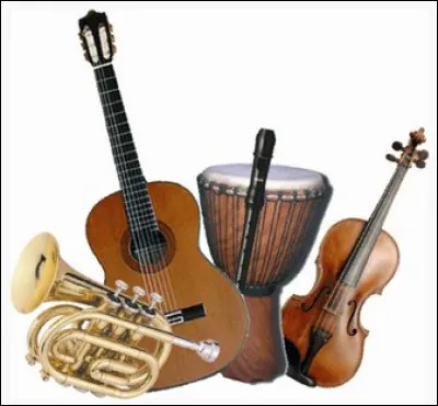 Quelle image correspond au banjo ?